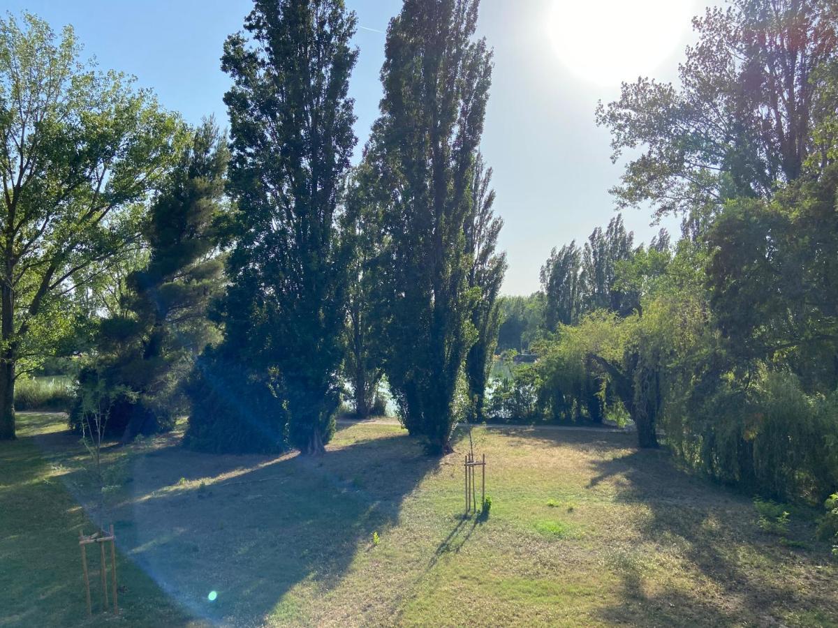 Joli Appartement Cosy Arles Bagian luar foto